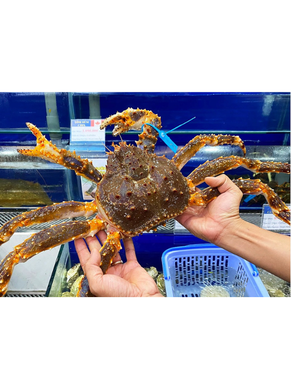 Cua Kingcrab - Ảnh 5