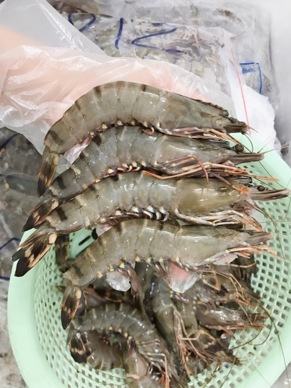 Tôm sú thiên nhiên - Ảnh 2