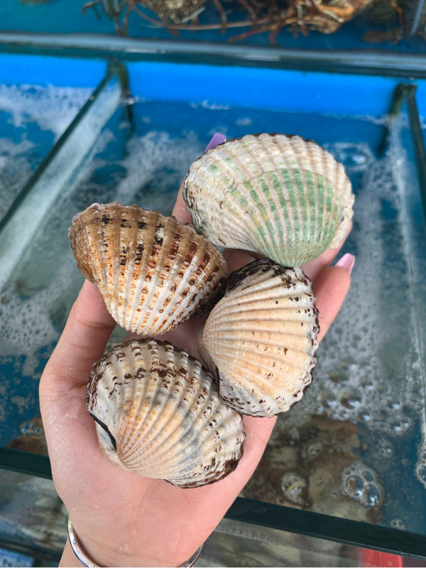 Sò huyết cồ - Ảnh 2