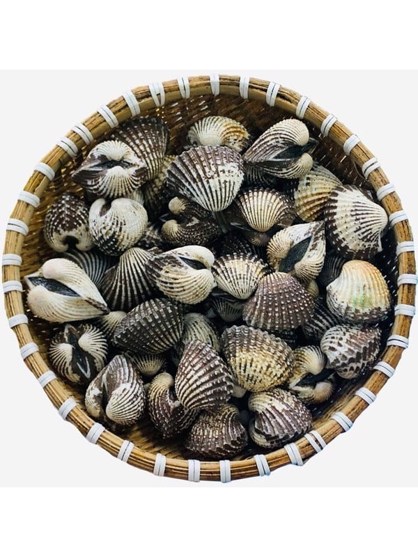 Sò huyết cồ - Ảnh 4