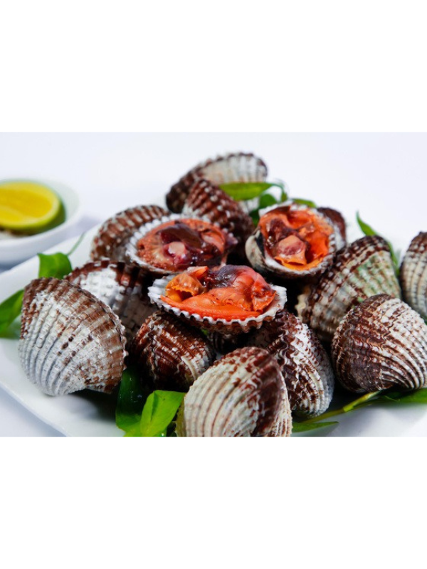 Sò huyết cồ - Ảnh 6