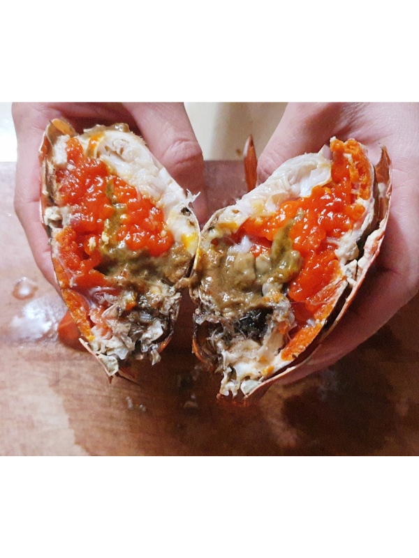 Cua gạch Cà Mau - Ảnh 4