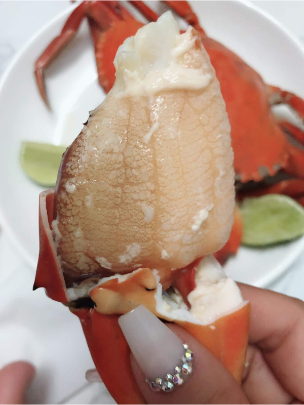 Cua Cà Mau - Ảnh 4