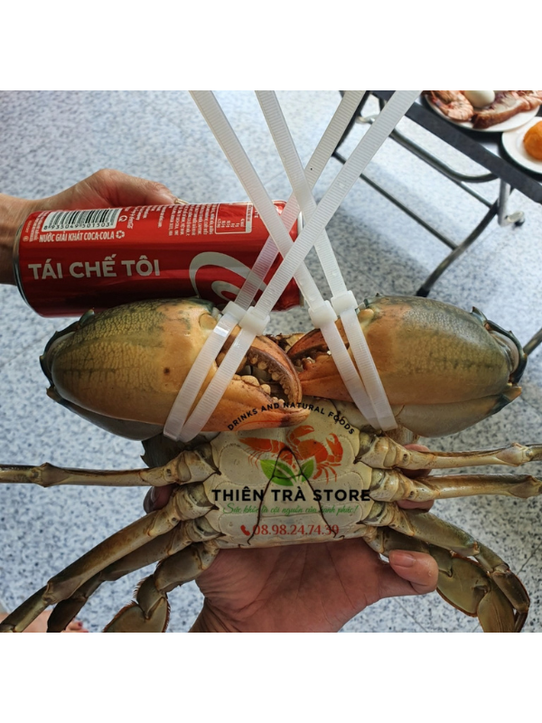 CUA THỊT - CUA CÀ MAU - Ảnh 2